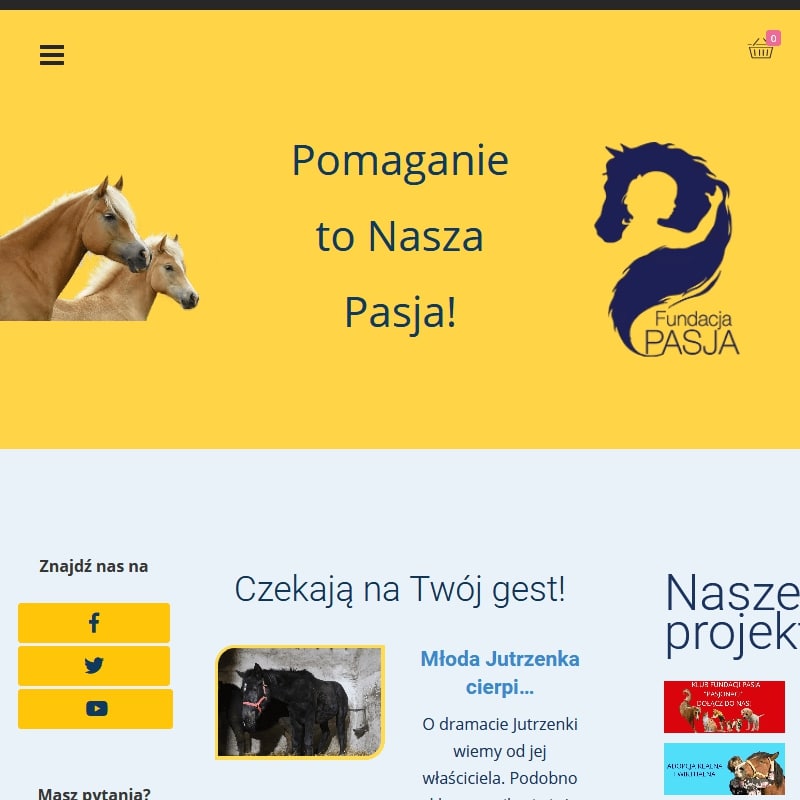 Ratowanie koni