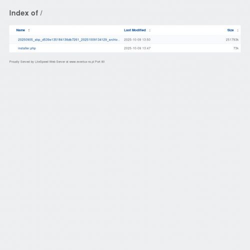 Alpiniści przemysłowi w Łodzi